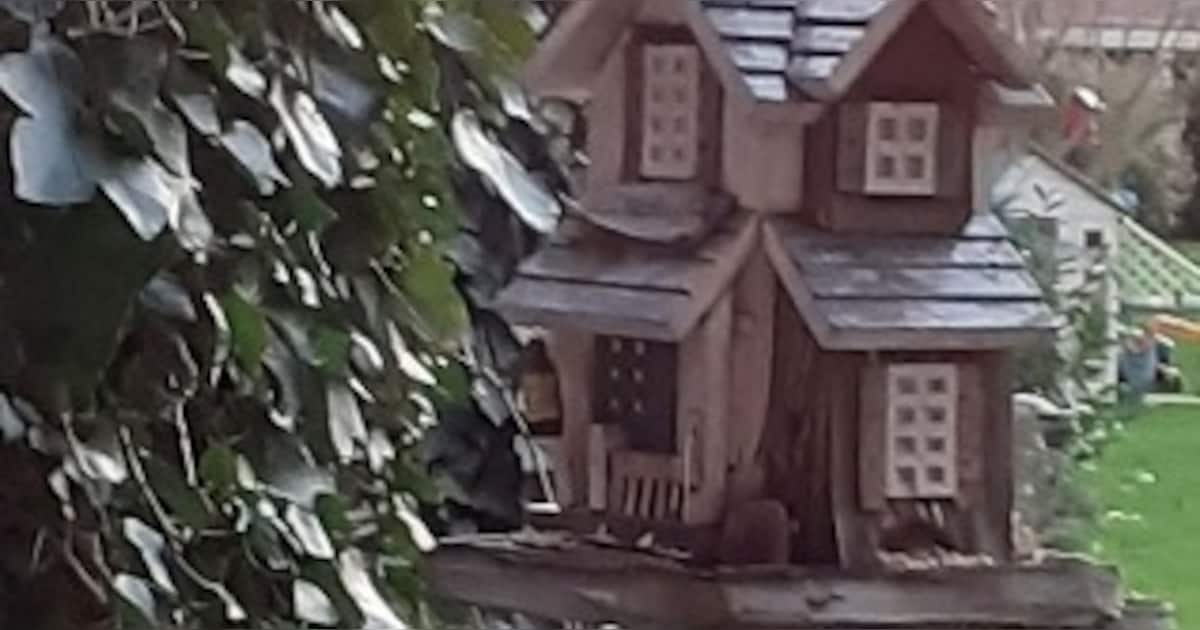 Hulp gevraagd bij vogelvoederhuisje, puingreep en diverse klassiekers