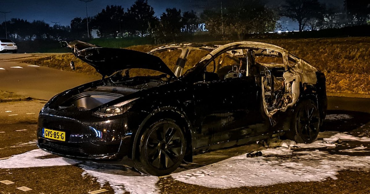 Tesla bij IJsbaan Twente gaat in vlammen op