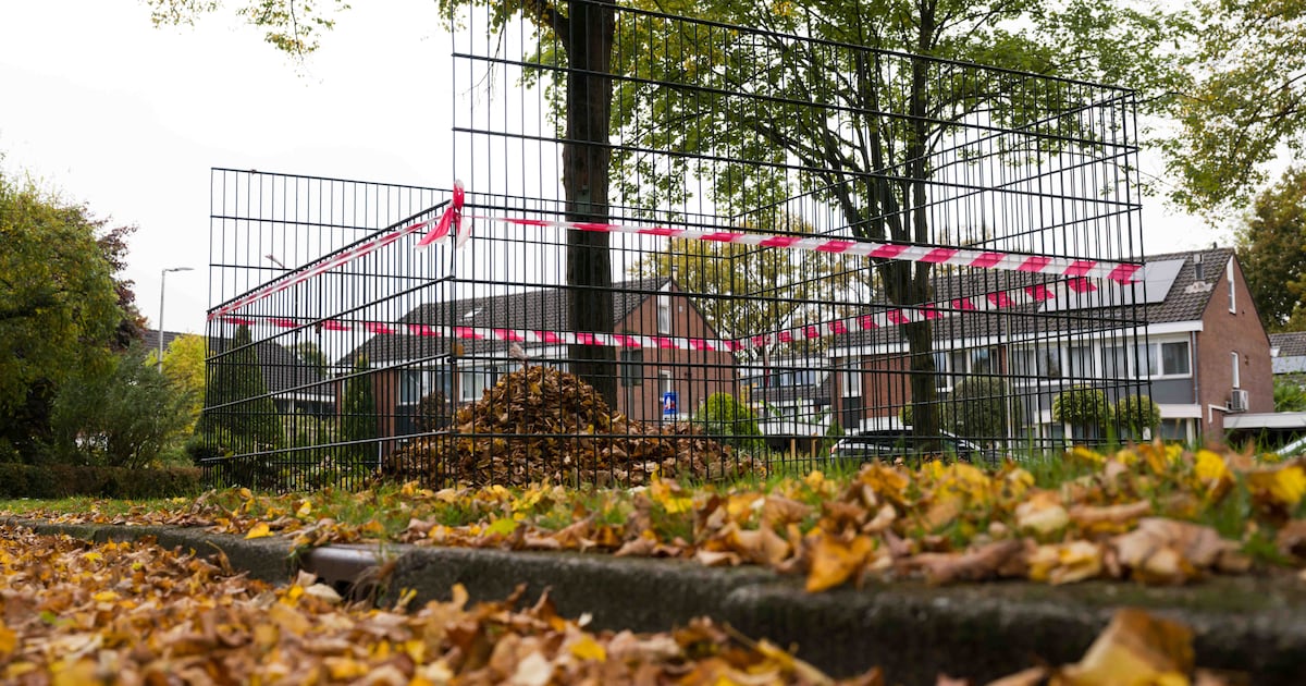 Waarom bladkorven in Borne alleen voor gemeentebladeren zijn (maar ...