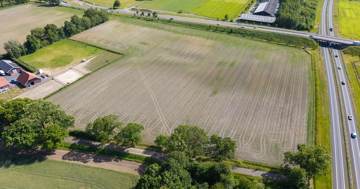 Vluchtelingen welkom in Haaksbergen, vindt Margaret (63): ‘En dan weet je dat je een bak bagger over