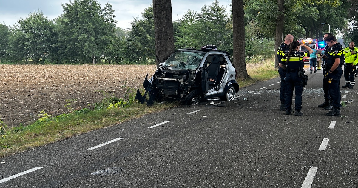 Brandweer bevrijdt automobilist uit voertuig na ongeluk in Enter.