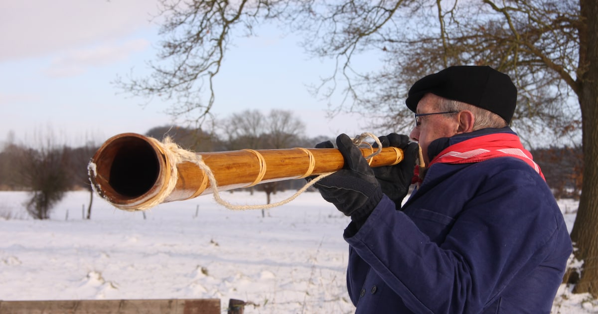 Midwinterhoornblazers begeleiden wandelroutes door het Reestdal