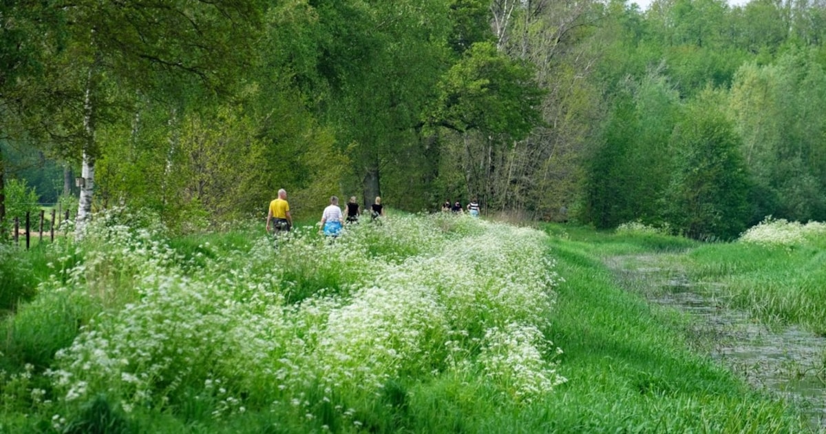 Wandeling Dwars deur Söwent in Zieuwent