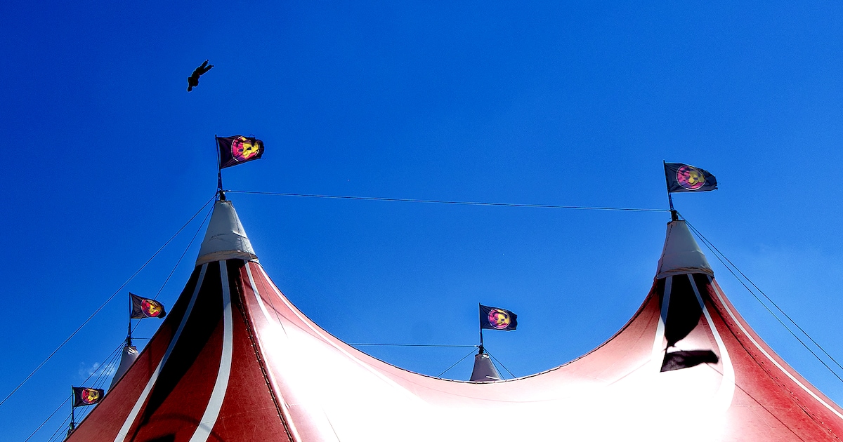 Gemeente over mislukte katapultstunt op Zwarte Cross: ‘We hadden hoge verwachtingen’