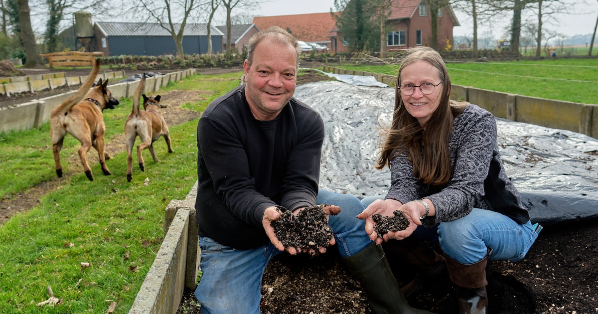 Dankzij de visworm houdt boer René het hoofd boven water: ‘Geluk komt hier uit de grond’