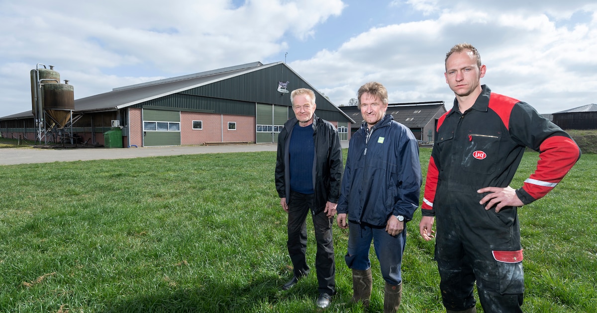Bas (29) redt boerderij van broers in Beltrum, maar mag er van Berkelland niet wonen: ‘Dit is bizar!