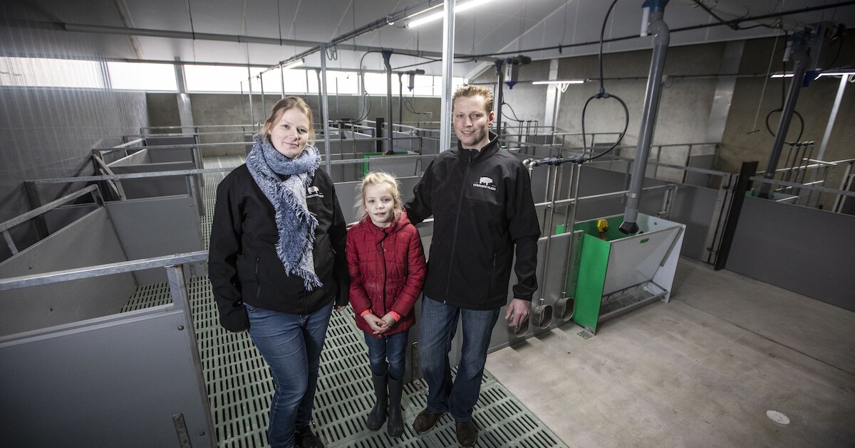 Varkens in enorme stal in Vasse hebben geen lang, maar wel een beter leven | Tubbergen