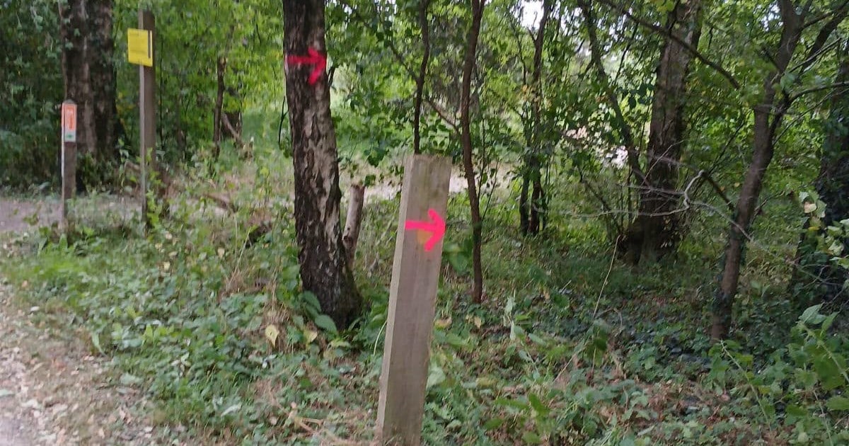 Felroze pijlen in natuurgebieden van Haaksbergen zijn nog steeds niet weg