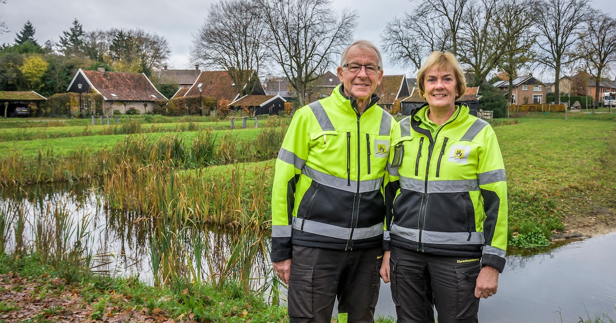 Losser houdt in augustus weer groot vrijwilligersfeest in openluchttheater