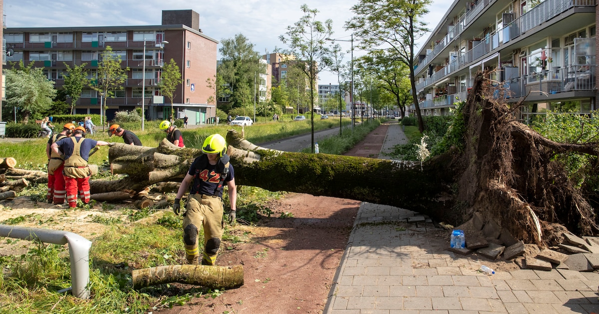 Fors minder schade in Losser door noodweer vorig jaar