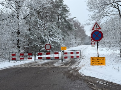 Oproep om weg over Sallandse Heuvelrug voor auto’s af te sluiten wordt luider