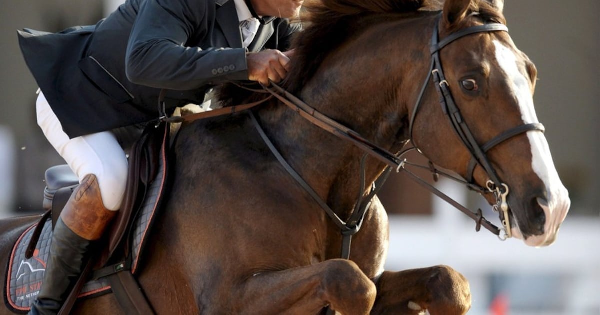 Springruiter Van de Pol wint GP Valkenswaard