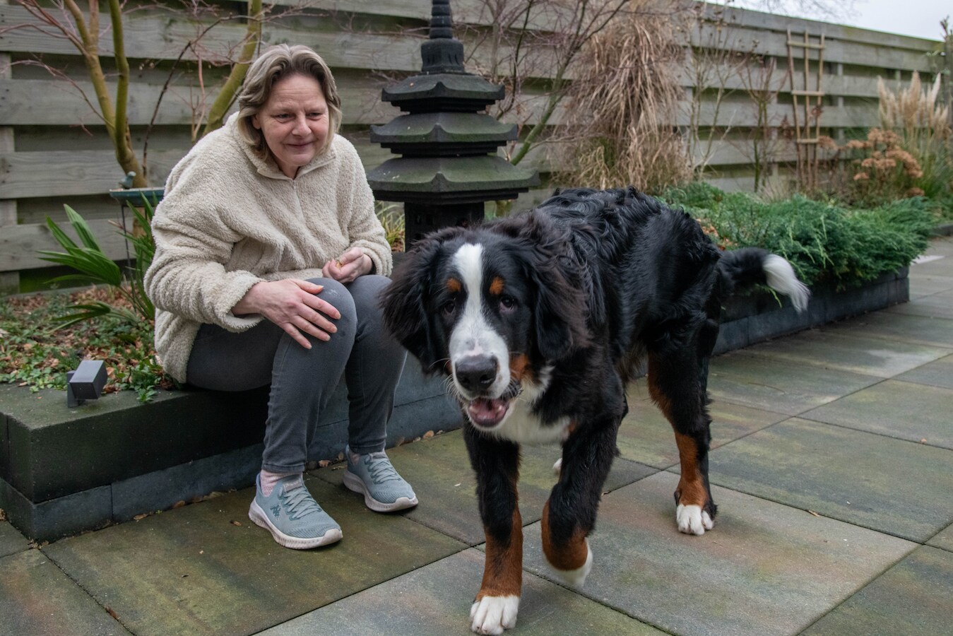 DeliBest DentaBone Strauss kauwbotten, voor honden, gemakkelijk te verdragen zonder gluten, kauwstang voor honden, voor tandreiniging, hondensnacks