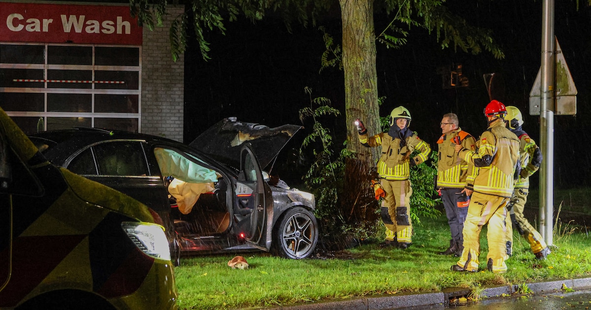 Auto botst tegen boom en vliegt in brand in Raalte, bestuurder naar ziekenhuis