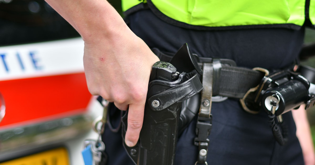 Politie lost waarschuwingsschot in Goor, 23-jarige man aangehouden