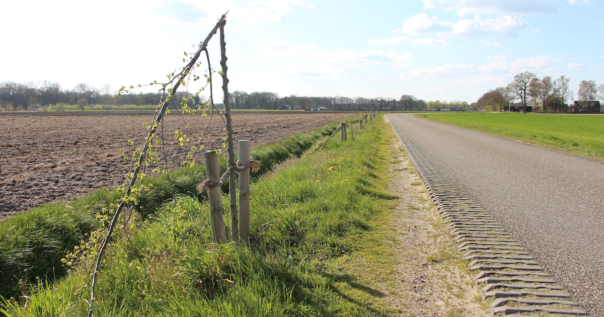 Opnieuw zinloos ‘bomenraggen’ bij Rietmolen: jonge aanplant omgeknakt