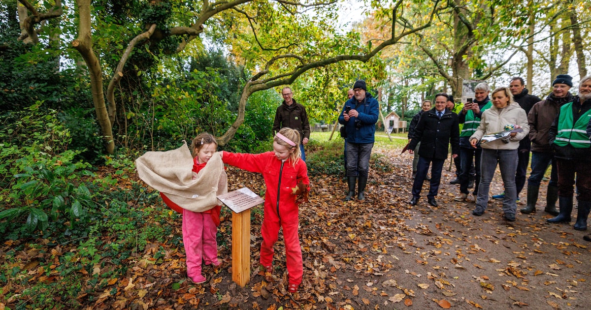 45 bijzondere boomsoorten en een eeuwenoude magnolia: Dit park in Hasselt viert feest