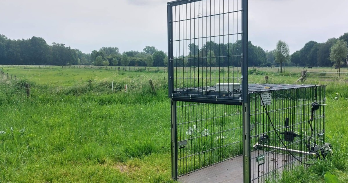 Opeens staat er een grote kooi in een weiland in Losser, maar waarvoor? ‘Hij houdt ons voor de gek’