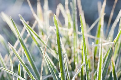 Na hitte nu nachtvorst: -0,1 graden in Twente, ‘voor het eerst sinds 1971’