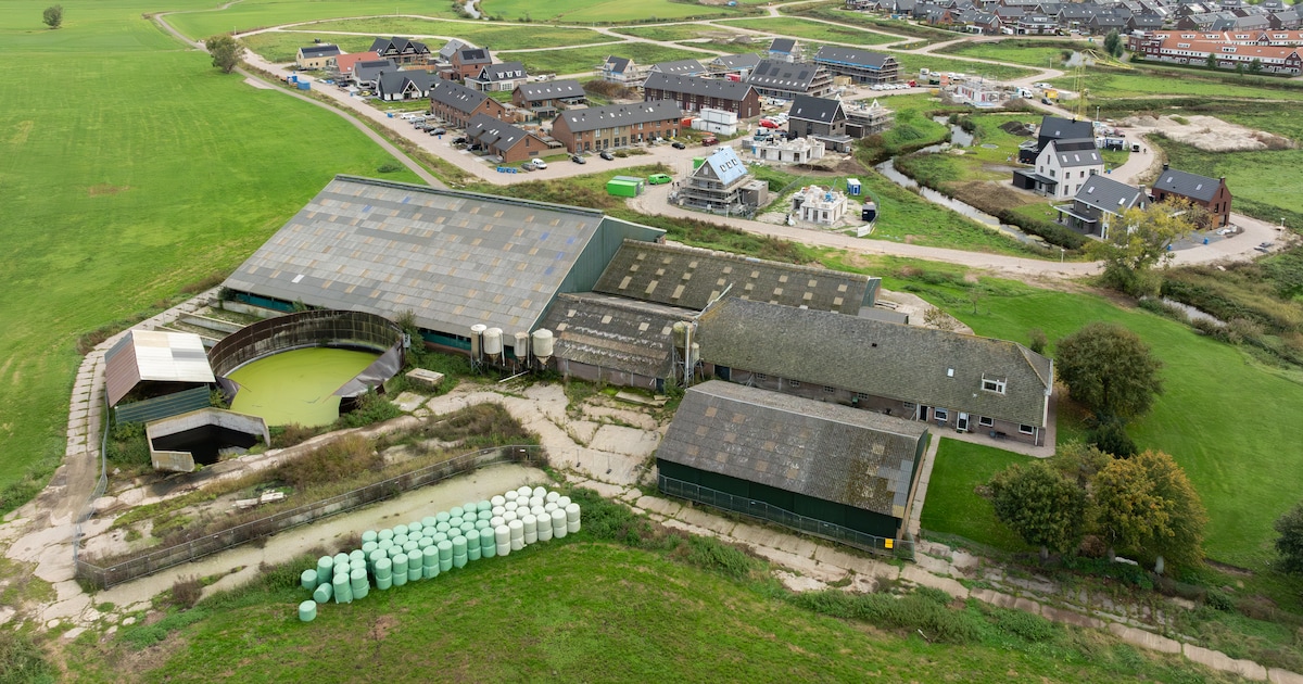 Boer liet 5 miljoen liter mest achter in boerderij Hasselt: nu sluit hij een deal met de gemeente