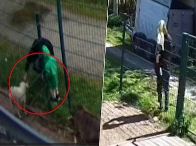 Camera betrapt vader en kind met drinkyoghurt bij hek: kinderboerderij is alle incidenten beu