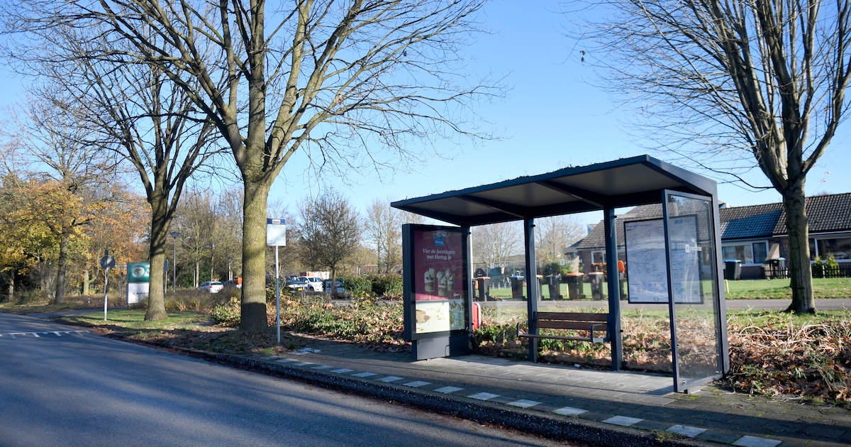 Protest tegen ingekorte busroute Enschede groeit: ‘Duizenden mensen ...