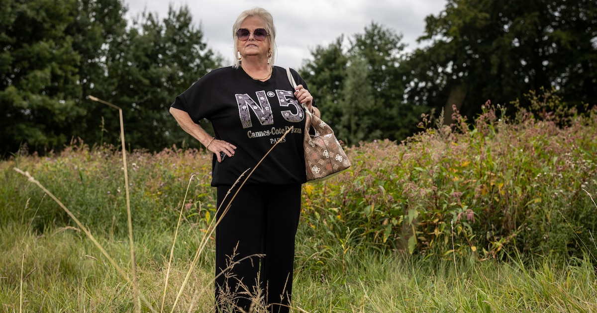 Na 25 jaar strijd voor woonwagenplek, nu ruzie over kleur: ‘Het lijkt straks net een hoerenkast’