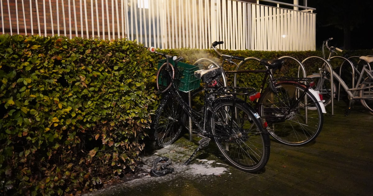 Vijf branden in enkele minuten bij Zwolse flat: politie zoekt brandstichter