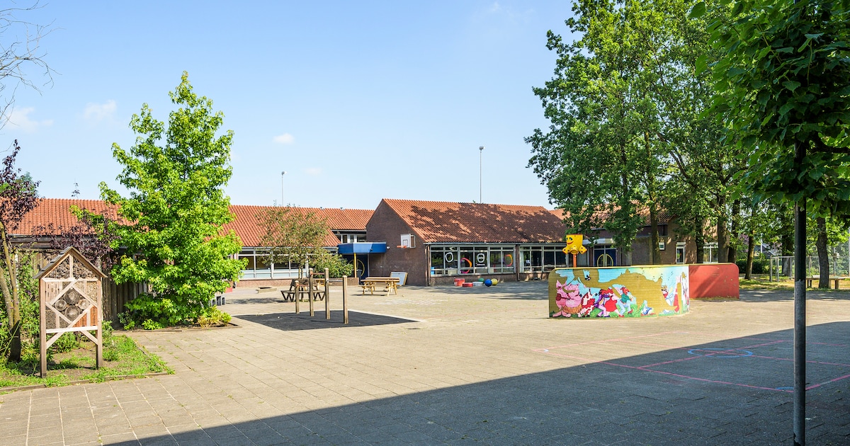 Gedroomde bruisende dorpshart komt er niet, Buurse moet het doen met opgeknapt schoolgebouw
