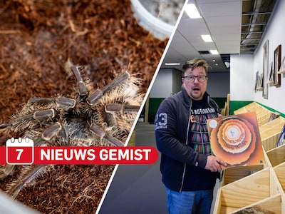 Gemist? Vogelspin is na zijn liefdesavontuur weer thuis & Ronald ziet op camera hoe klant met tas vo