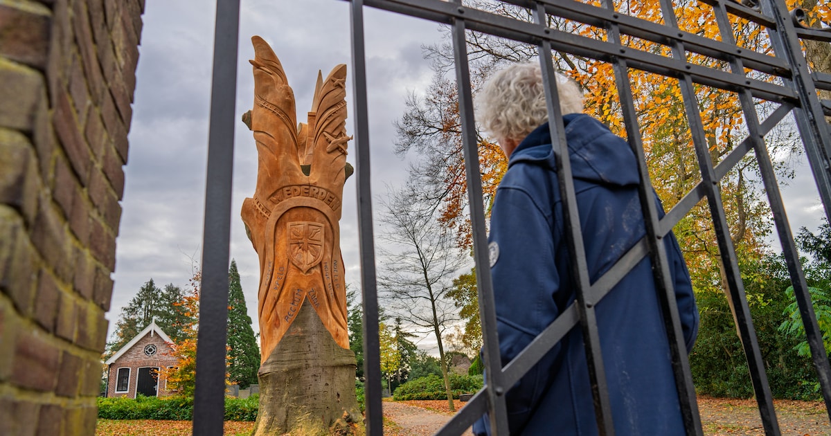 Oude beuk krijgt nieuw leven als kunstwerk in Wierden: ‘Knap wat ze ervan gemaakt hebben’
