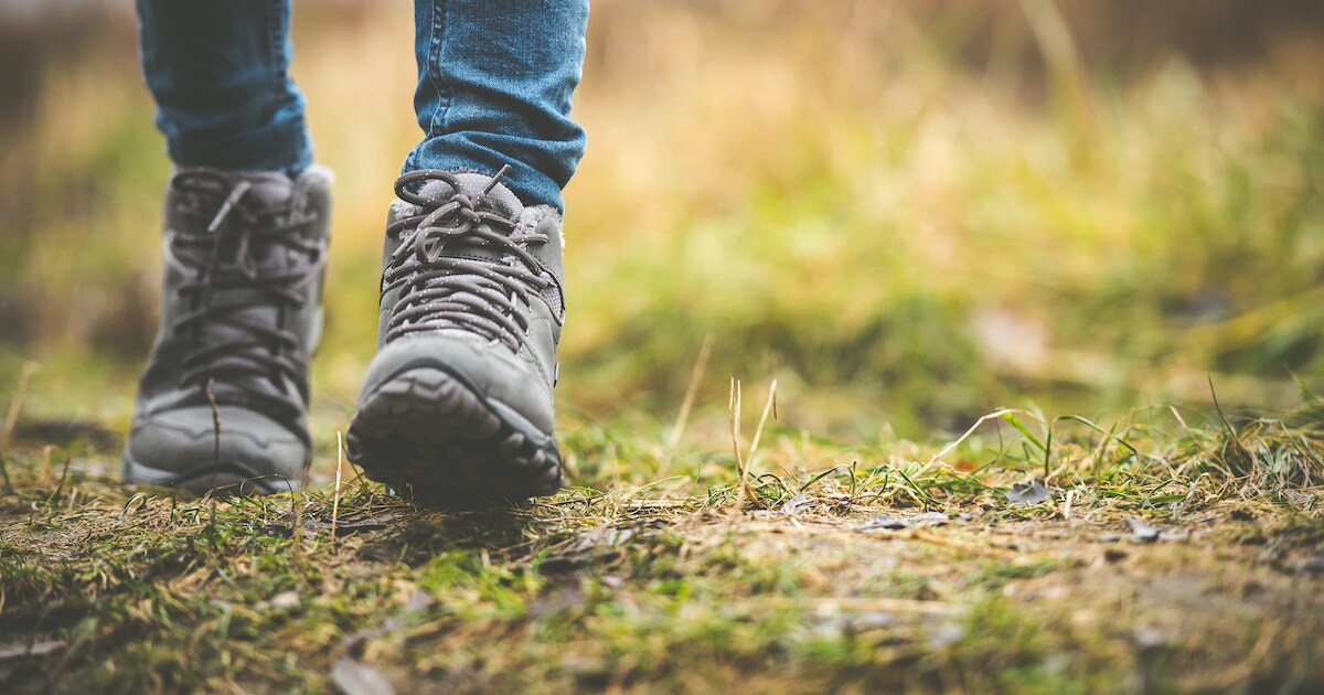 Wandeltocht 'Dwars Deur Suwent' in Zieuwent | Oost Gelre