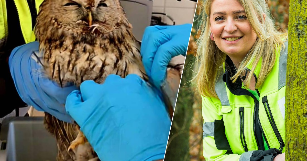 Lotte doet dringende oproep na gruwelijke vondst in prikkeldraad: ‘Dit moet echt stoppen’