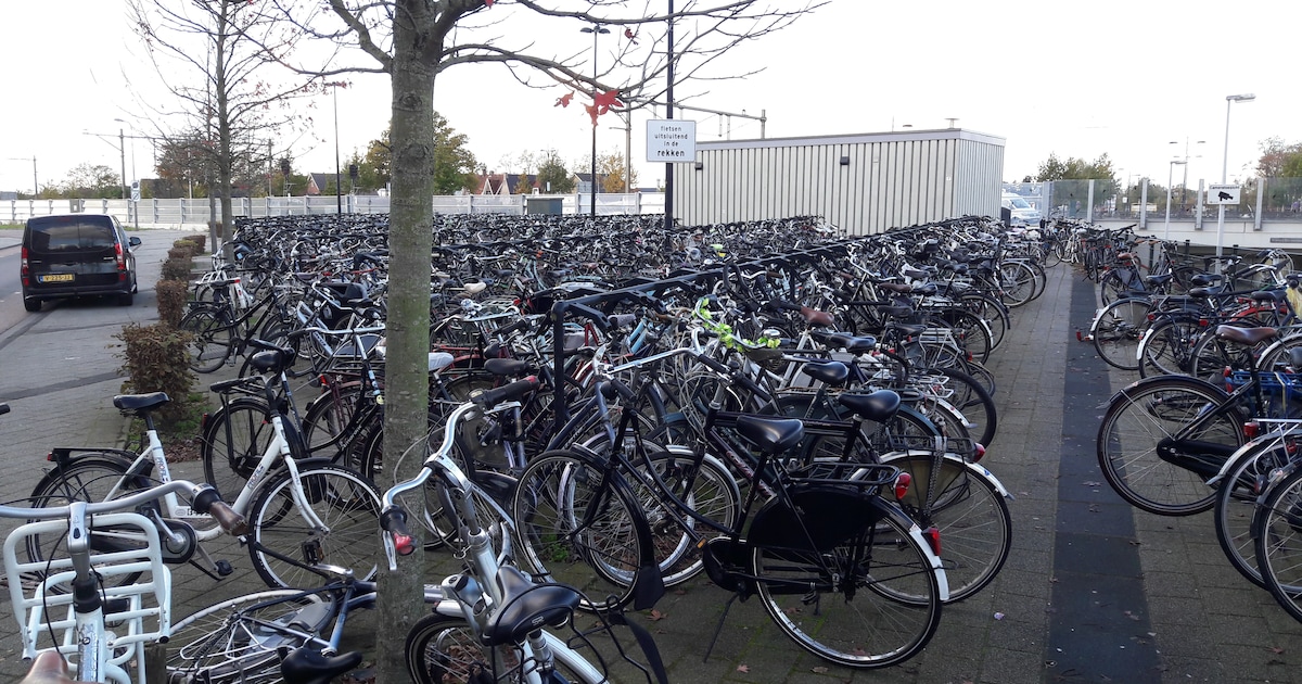 Fietsendieven actief bij station Rijssen