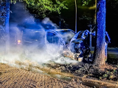 Geparkeerd busje verwoest door brand in Almelo