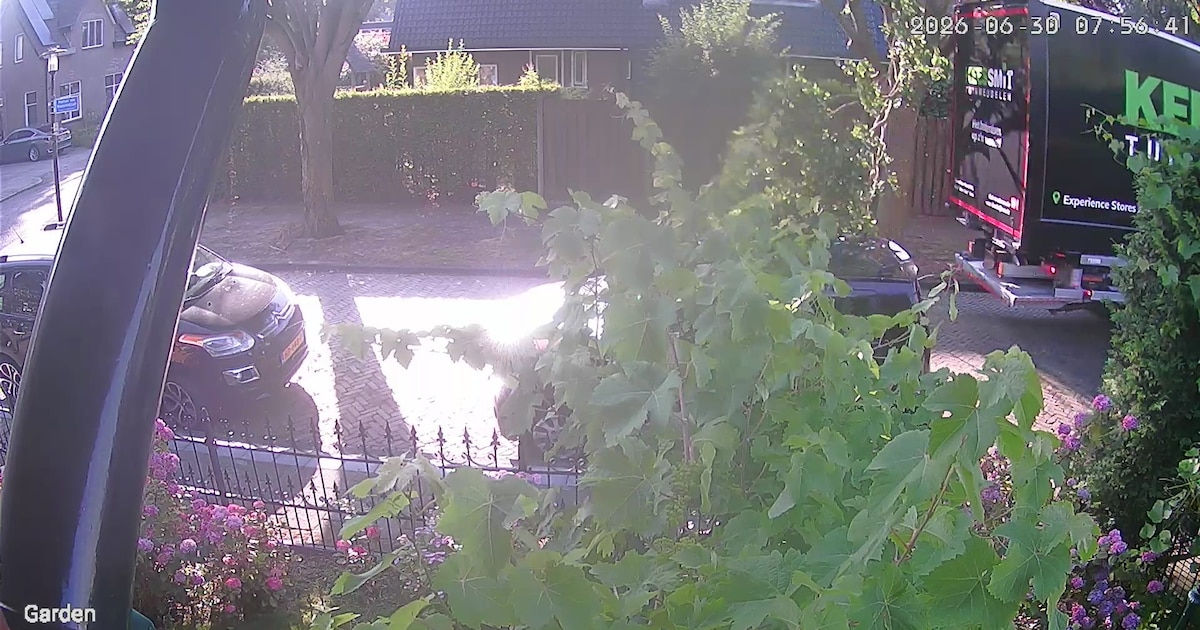 Vrachtwagen ramt in Hengelo tak uit de boom, wie betaalt de schade?