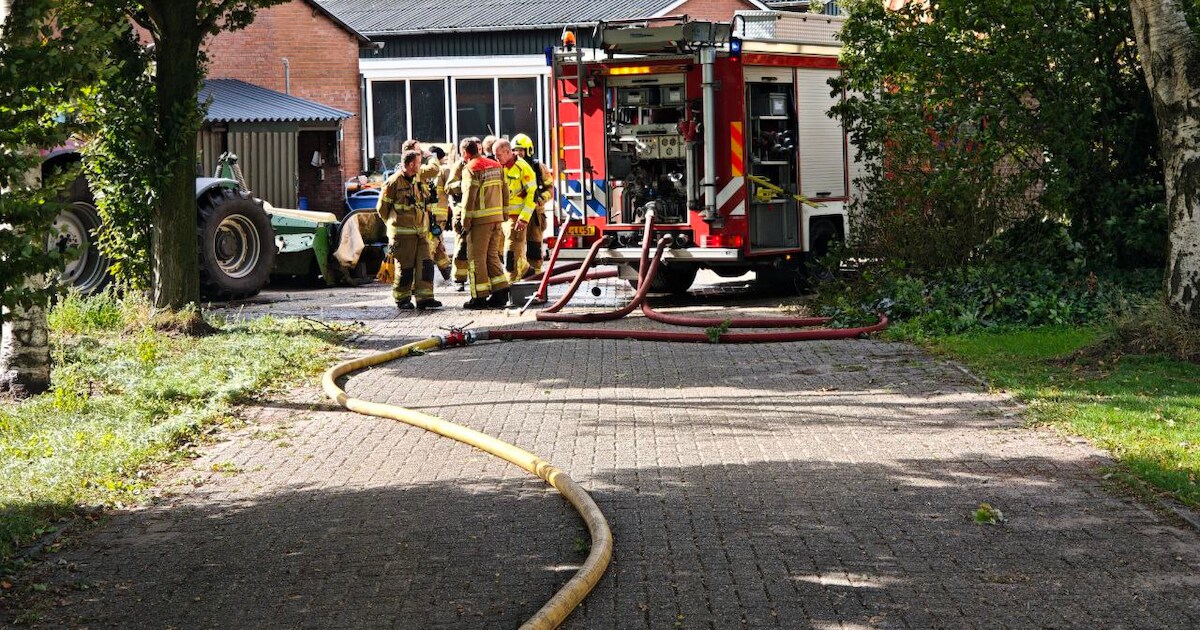 Forse rookontwikkeling bij stalbrand in Eibergen, twee kalfjes overleven het niet