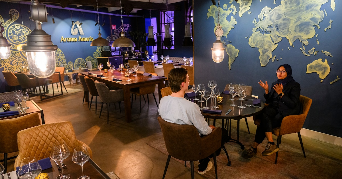 Elektrische Vleesinspuiter Pomp met Slang, Roestvrij Staal Elektrische Marinade Injector, met Naalden voor Geroosterd Kalkoen, Varkensvlees, Rundvlees,Blue-1pin