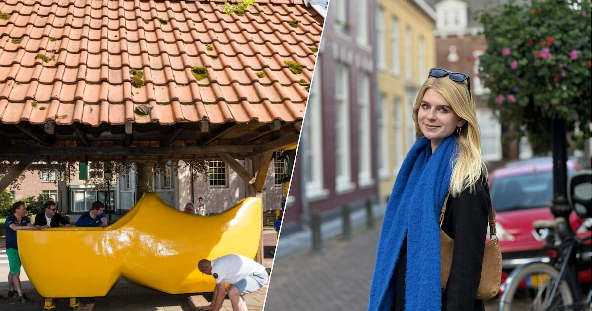 Hier vind je alles over de gemeenteraadsverkiezingen in gemeente Wierden op 18 maart 2026