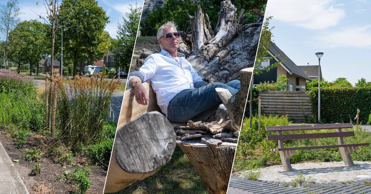 Geen asfaltjungle meer in Beltrum: wijk regelt zelf groene facelift van 3,6 miljoen euro