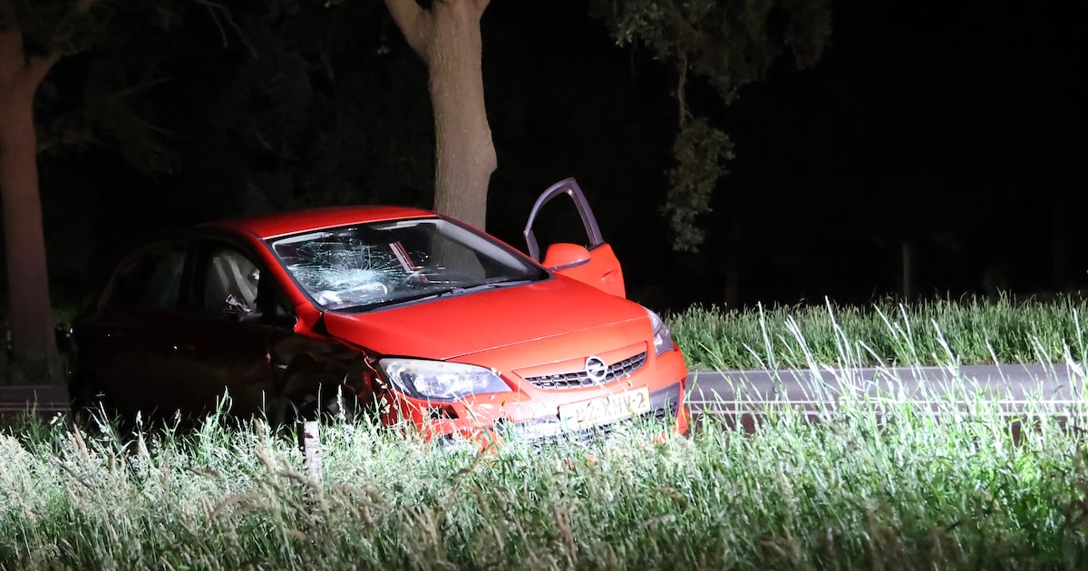 Automobilist gewond na botsing tegen boom op N35 bij Mariënheem