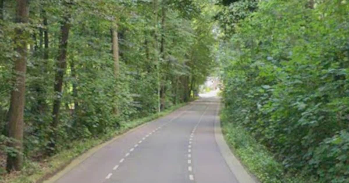 Twents duo hangt celstraf boven het hoofd na aanvallen van agenten bij Lochem