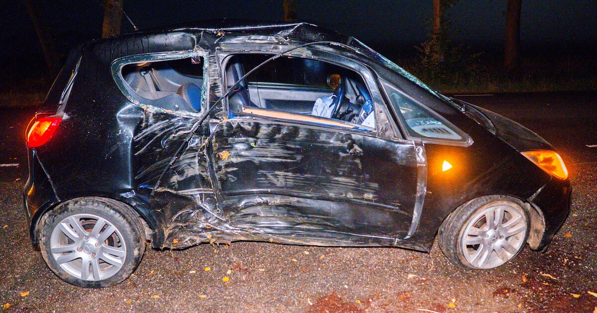 Bestuurder botst tegen boom en rijdt hierdoor auto in de prak bij eenzijdig ongeval in Steenderen