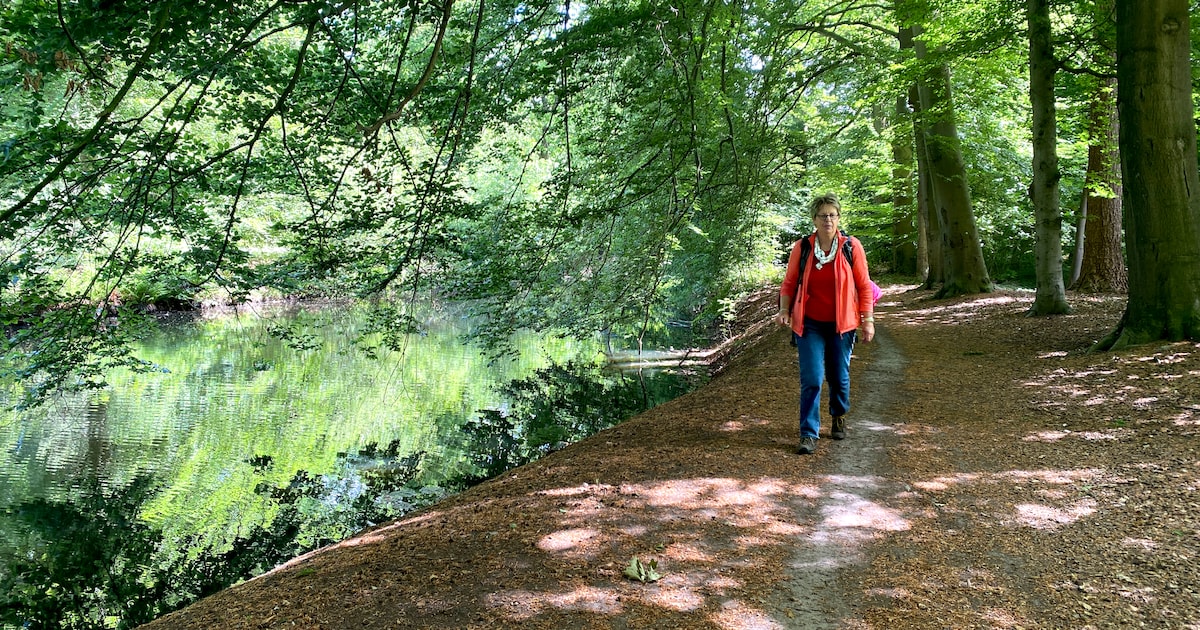 Van torentje tot sterrenbos: op pad langs kunst, bos en landgoed