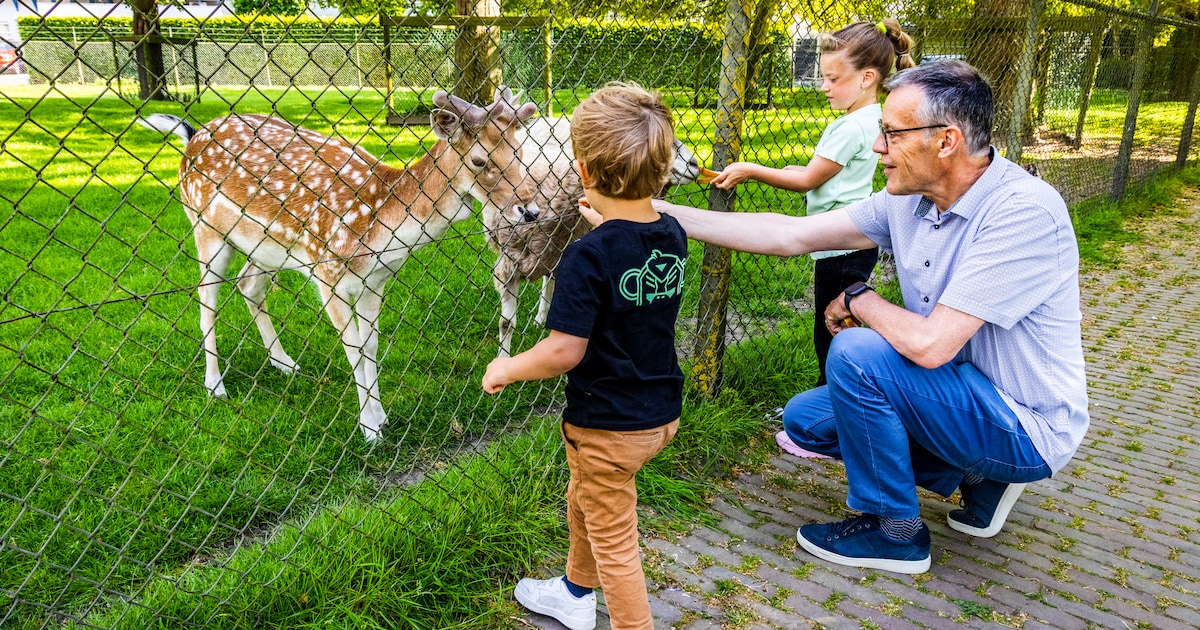 Open Tuinen, herten voeren en Vaderdag: dit is er dit weekend te doen