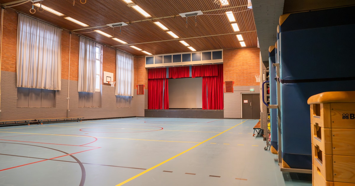 Van schoolgymzaal naar tijdelijk theater: Zutphen wil Hanzehof onderbrengen in Baudartius