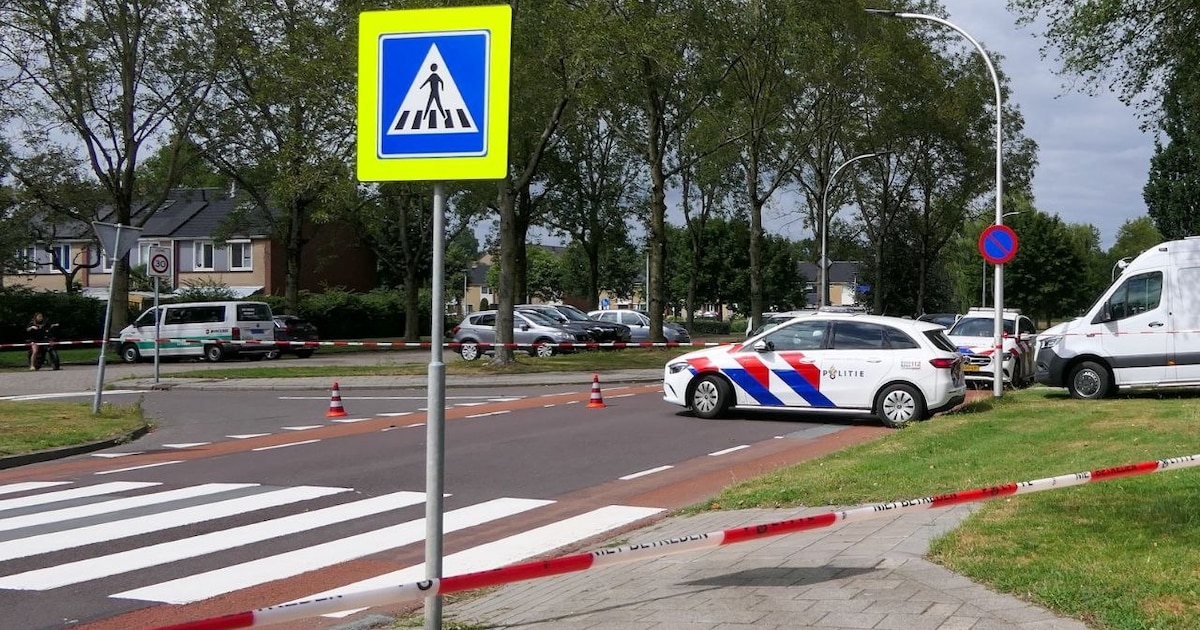 Vrouw en hond aangereden op oversteekplaats in Hengelo, automobilist aangehouden