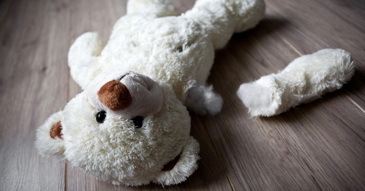 Aantal meldingen bij Veilig Thuis in Haaksbergen gedaald