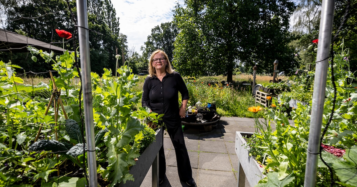 Silvia heeft een makkelijke moestuin en daar komen zelfs geen slakken in
