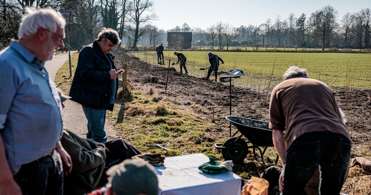 Plan voor 15 miljoen extra bomen in vooral Twente tot mislukken gedoemd